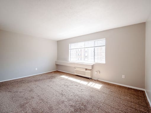 A room with a window and a carpet on the floor.