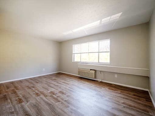 A room with a window and a radiator on the wall.