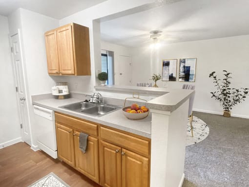 a kitchen with a counter top and a sink
