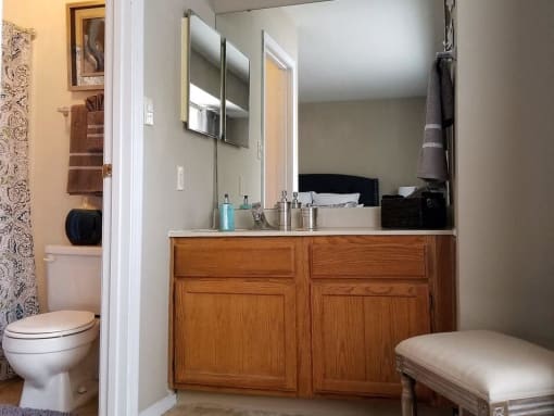 bathroom at Hunters Ridge Apartments