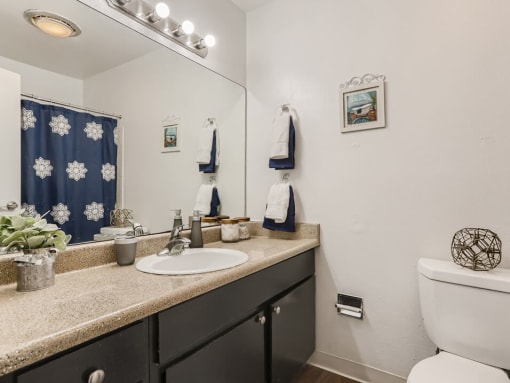 bathroom with large vanity area