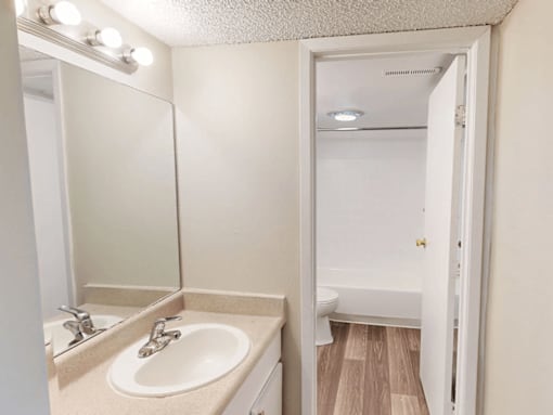 A bathroom with a sink, mirror, and toilet.