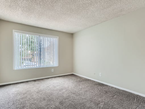 Spacious bedrooms with natural light at meadow lark apartments