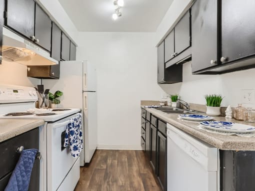 Kitchen with oven, dishwasher and storage space