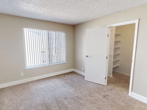 A room with a carpeted floor, a window with blinds, and a white closet with shelves.