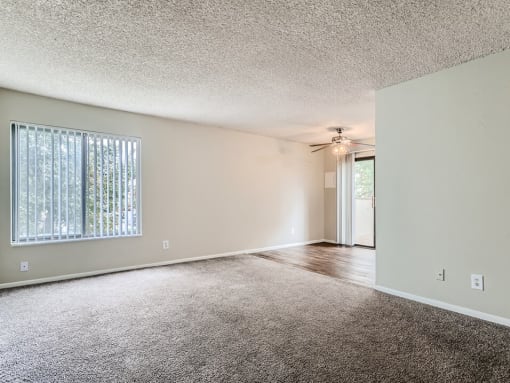 Large Carpeted Living Room
