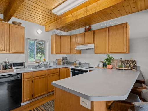 kitchen space with dishwasher and oven 