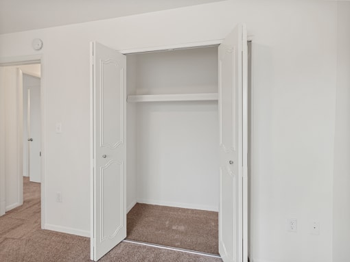 bedroom with connected walk-in closet