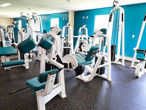 A gym with blue walls and a variety of equipment.