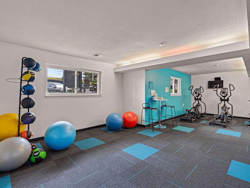 a workout room with balls and exercise equipment in a garage