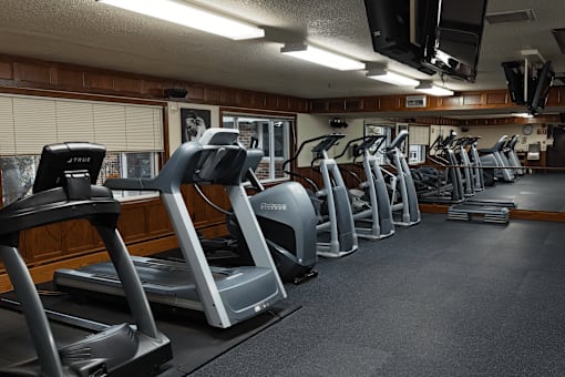 A gym with treadmills and elliptical machines.