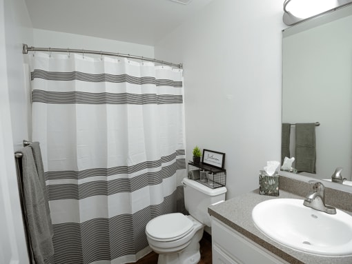a bathroom with a shower and a sink and a toilet