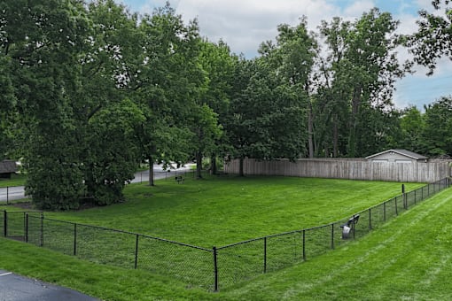 A backyard with a fence and a tree.