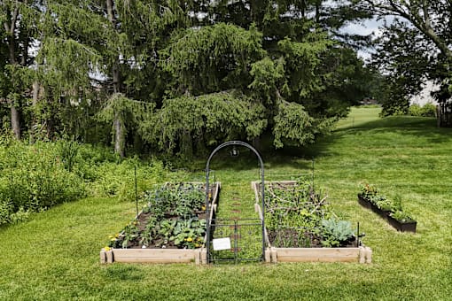 A garden with vegetables growing in boxes and a trellis.