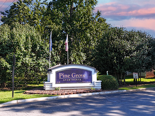 A sign for Pine Grove Apartments is displayed in front of a green tree.