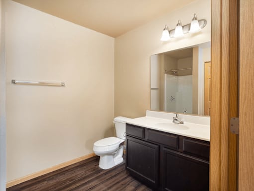 A bathroom with a toilet, sink and mirror.