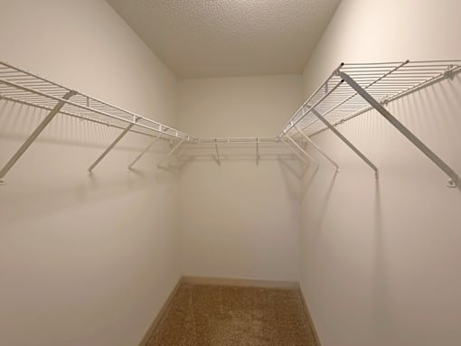 Empty walk-in closet with shelving and carpeted floor.