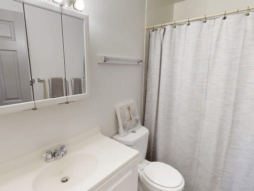 a bathroom with a sink toilet and a shower