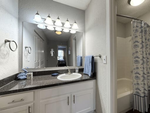a bathroom with a sink and a mirror