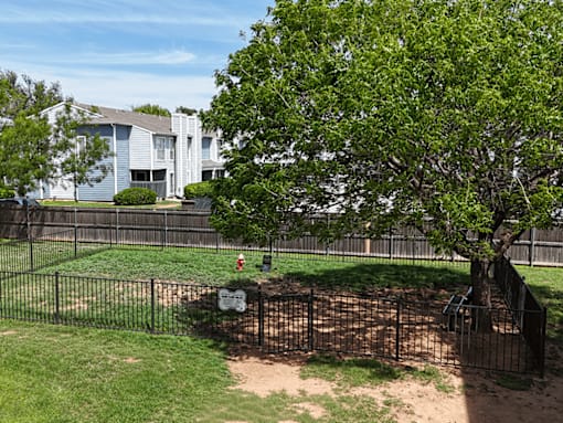 A tree in a yard with a mailbox on a fence.