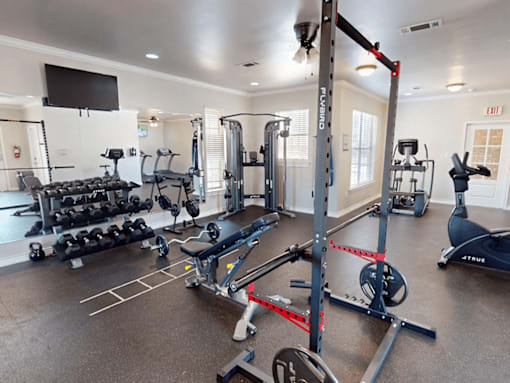A gym with a variety of equipment including weights, a bench press, and a squat rack.