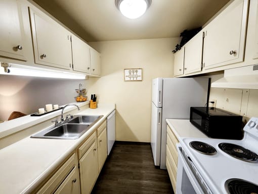 Apartment Kitchen with Dishwasher