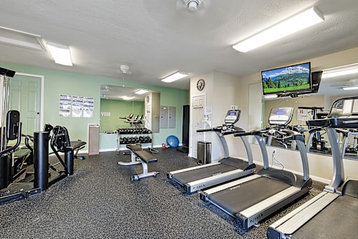 A gym with treadmills, weights, and a television.
