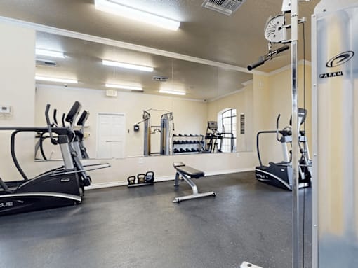 A gym with a treadmill, weights and exercise equipment.
