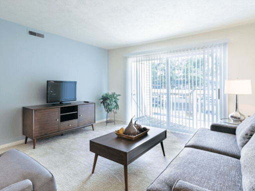 A living room with a grey couch, a wooden coffee table, a television, and a plant.