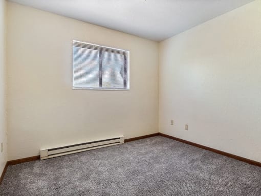 bedroom with carpet and a window