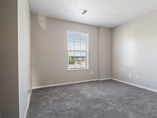 bedroom with a window and carpet
