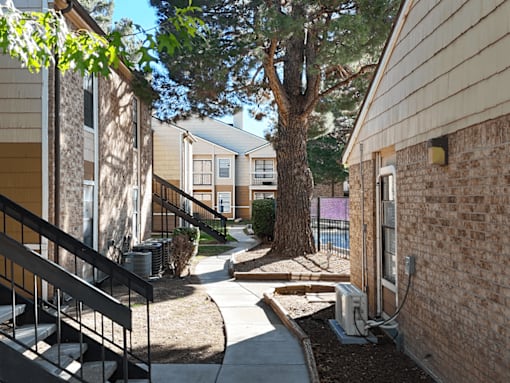 A tree in a courtyard between two buildings.