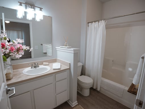a bathroom with a sink toilet and a mirror
