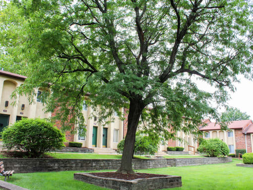a large tree in a grassy area in front of a building