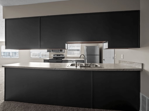 a kitchen with black cabinets and a sink and a refrigerator