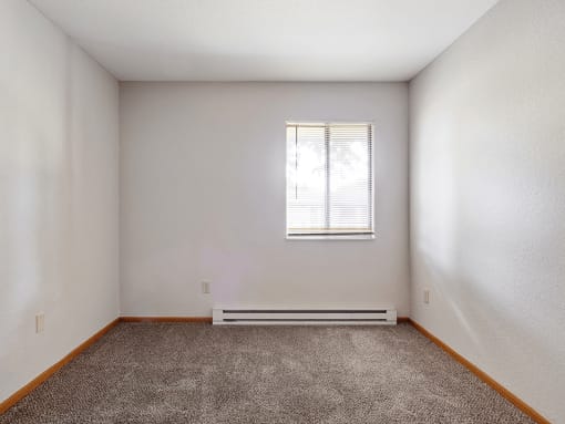 bedroom with carpet and a window