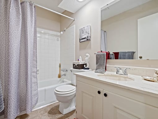 a bathroom with a shower toilet and sink