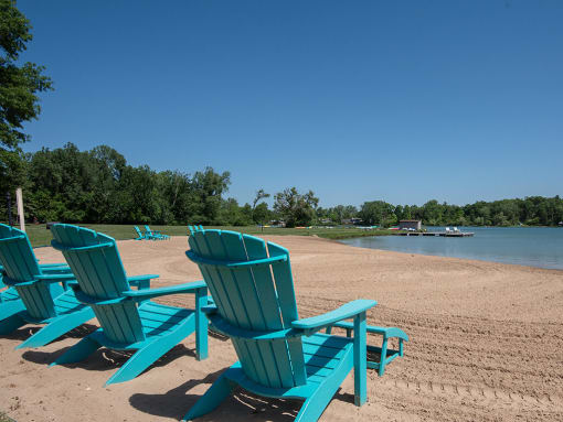 a group of blue beach chairs sitting on the beach
