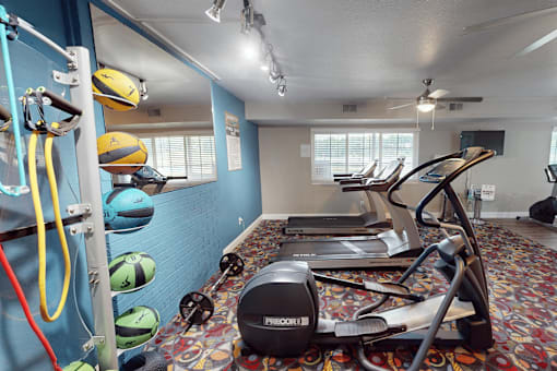 A gym with a row of treadmills and exercise balls on the wall.