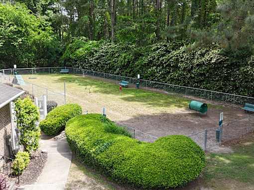 A backyard with a fence, a green hedge, and a baseball diamond.