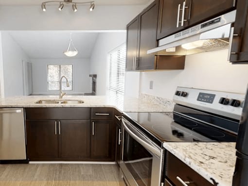 A modern kitchen with dark wood cabinets and stainless steel appliances.