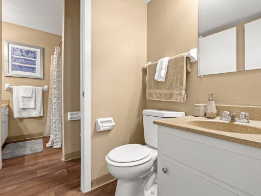 a bathroom with a toilet and a sink and a shower