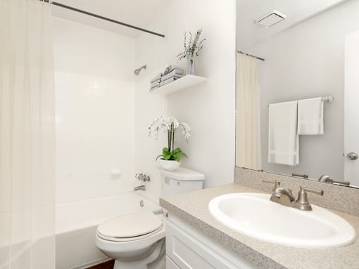 a bathroom with a toilet sink and bathtub
