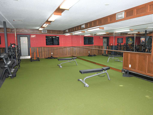 a view of the weights area in the gym