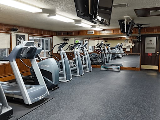 A gym with treadmills and elliptical machines.