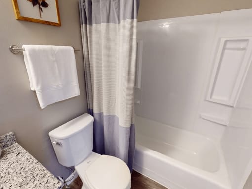 a bathroom with a toilet and a bath tub