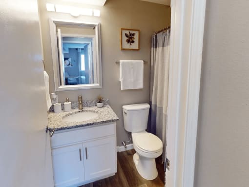 a bathroom with a toilet and a sink and a mirror