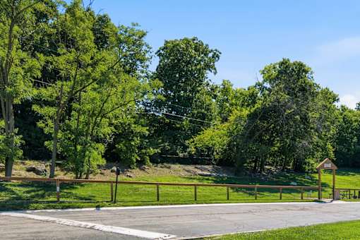A dog park shaded by trees.