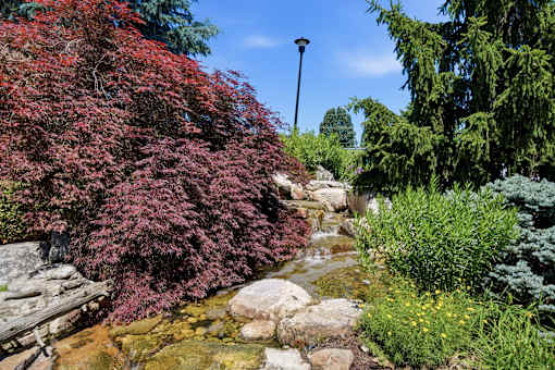 A garden with a stream and rocks.