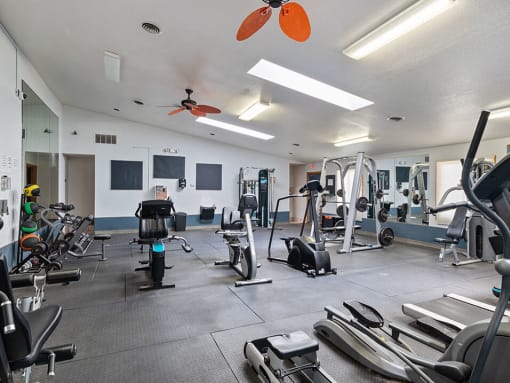 a gym with weights and cardio equipment
